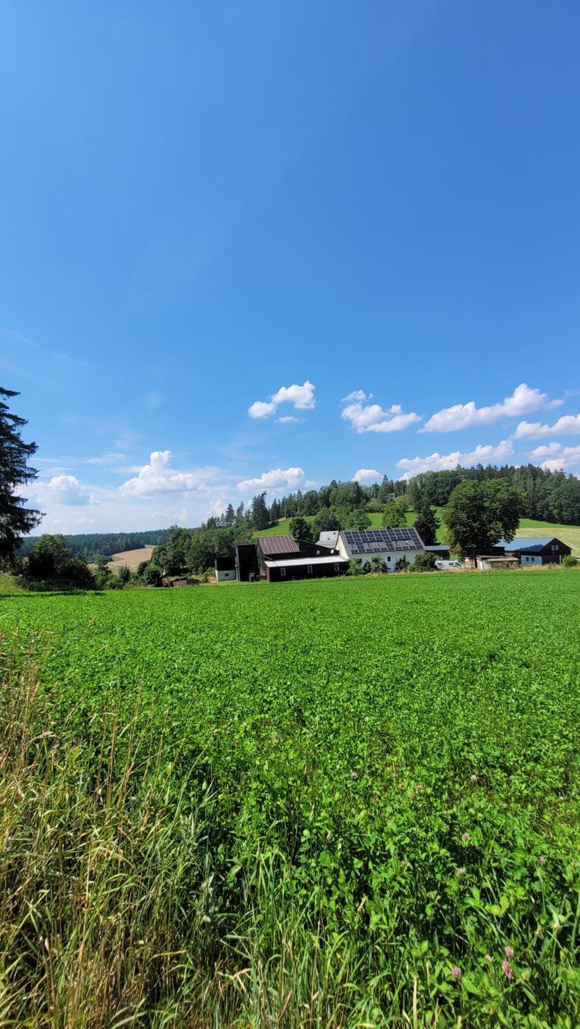 Ruhig Gelegene, Top Moderne Ferienwohnung - Hot Tub Und Sauna Gegen Aufpreis Neuhaus an Der Eger Kültér fotó